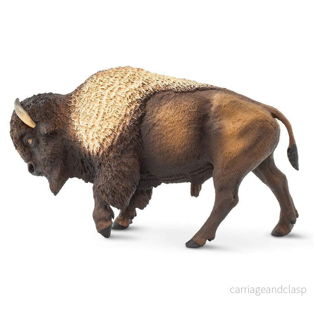 Safari Ltd – Bison Safari Ltd – Bison