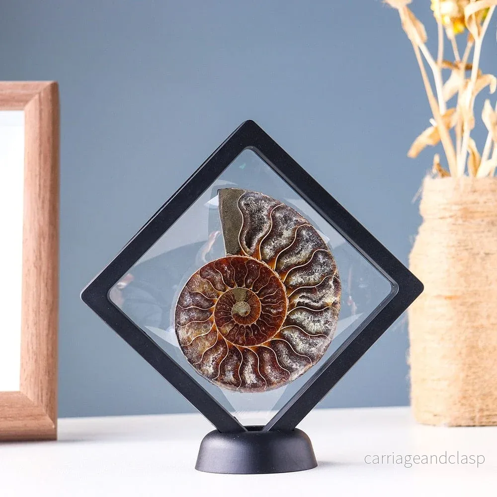 Ammonitfossil Kristall Ornament | Veska