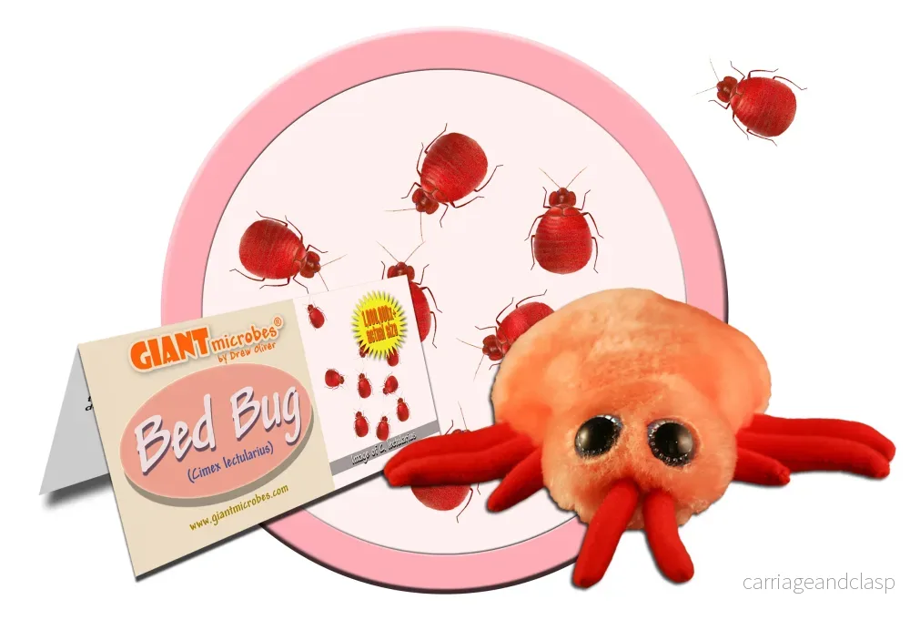 GIANTmicrobes - Bed Bug (Cimex Lectularius) - Vägglus