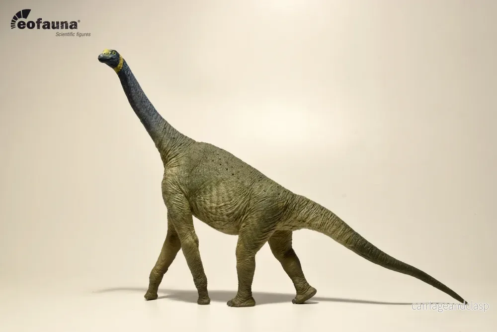 Eofauna - Atlasaurus - Bild 2