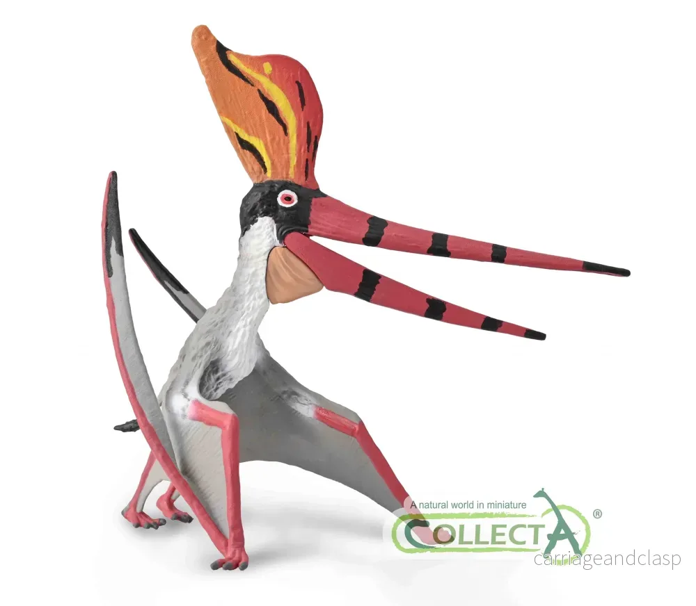 CollectA - Pteranodon Sternbergi - Deluxe