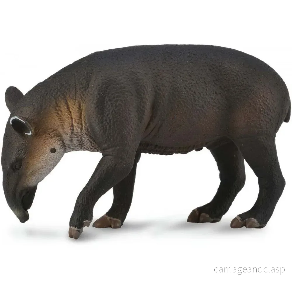 CollectA – Centralamerikansk tapir CollectA – Centralamerikansk tapir