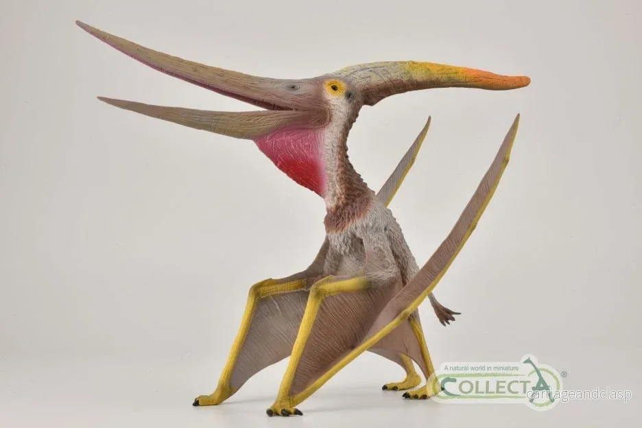 CollectA - Pteranodon med ledad käke - Deluxe Skala 1:40 - Bild 2