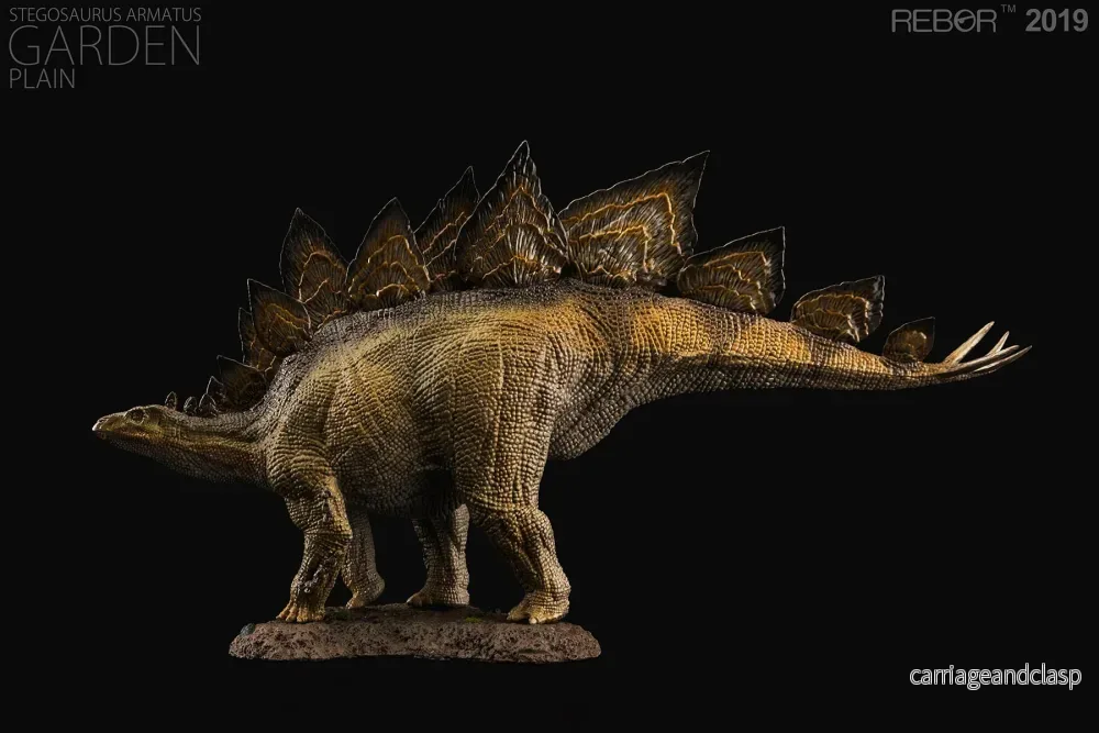 REBOR 1:35 Male Stegosaurus Garden Plain Armatus Museum Class Replica