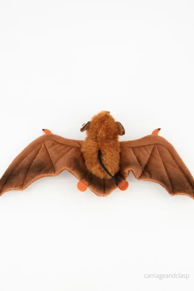 National Geographic: Fladdermus - Bild 2
