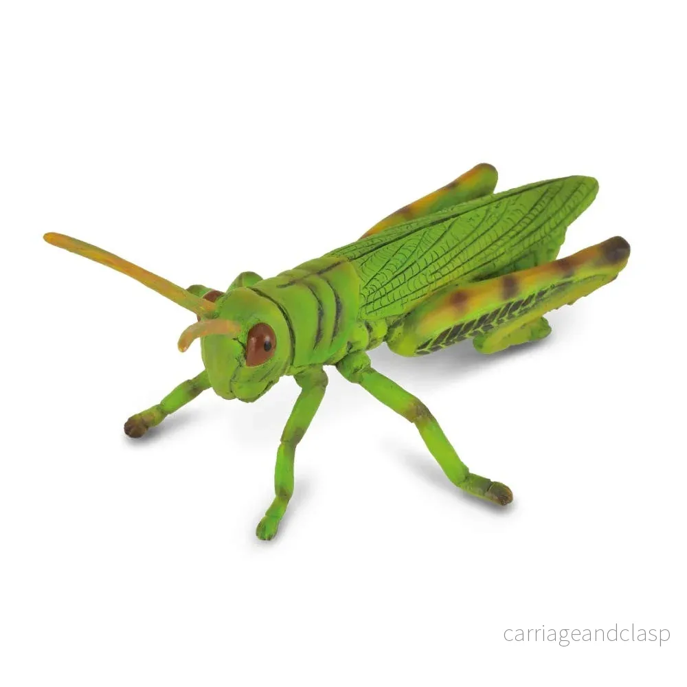 CollectA - Grön gräshoppa