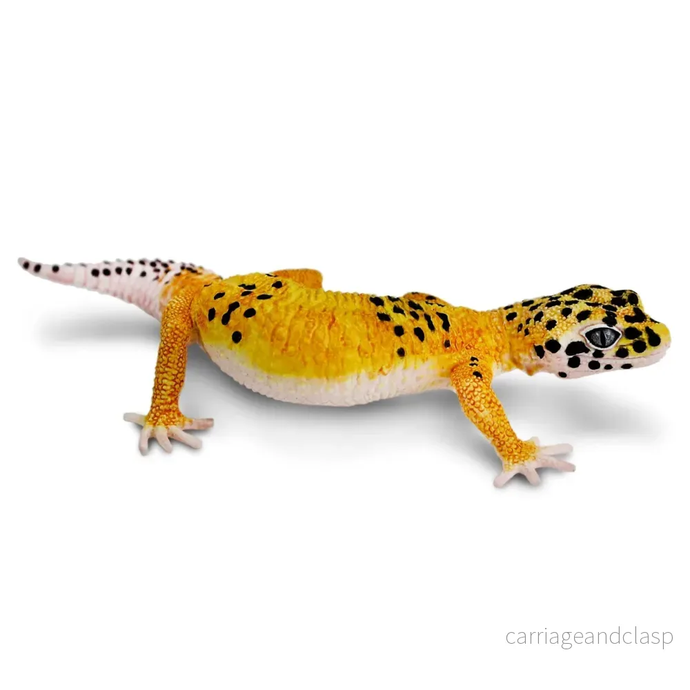 Safari Ltd - Leopardgecko