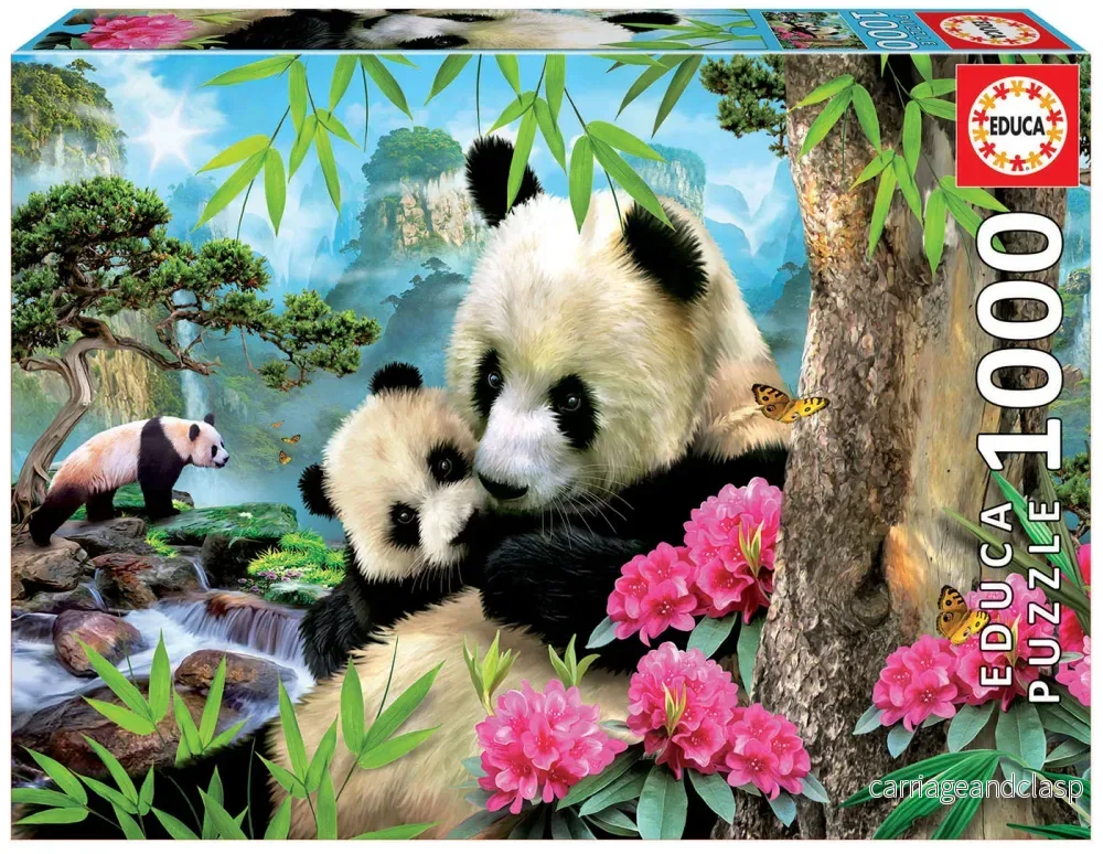 1000 Morning Panda Educa®