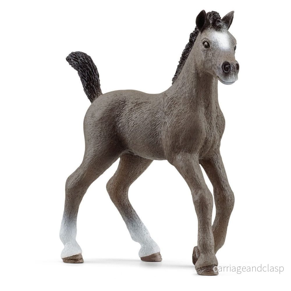 Schleich - Selle français-föl