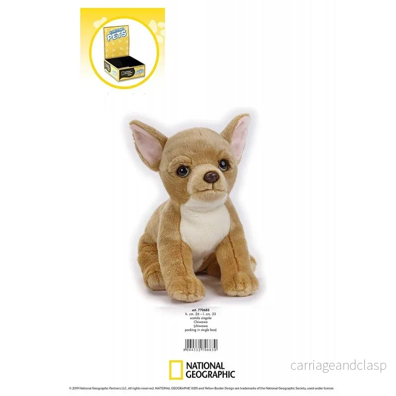 National Geographic Kids: Chihuahua - Bild 2