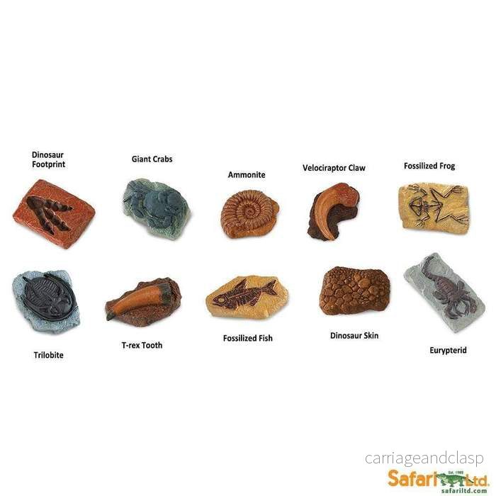 Safari Ltd - Forntida fossiler TOOB® - Bild 2