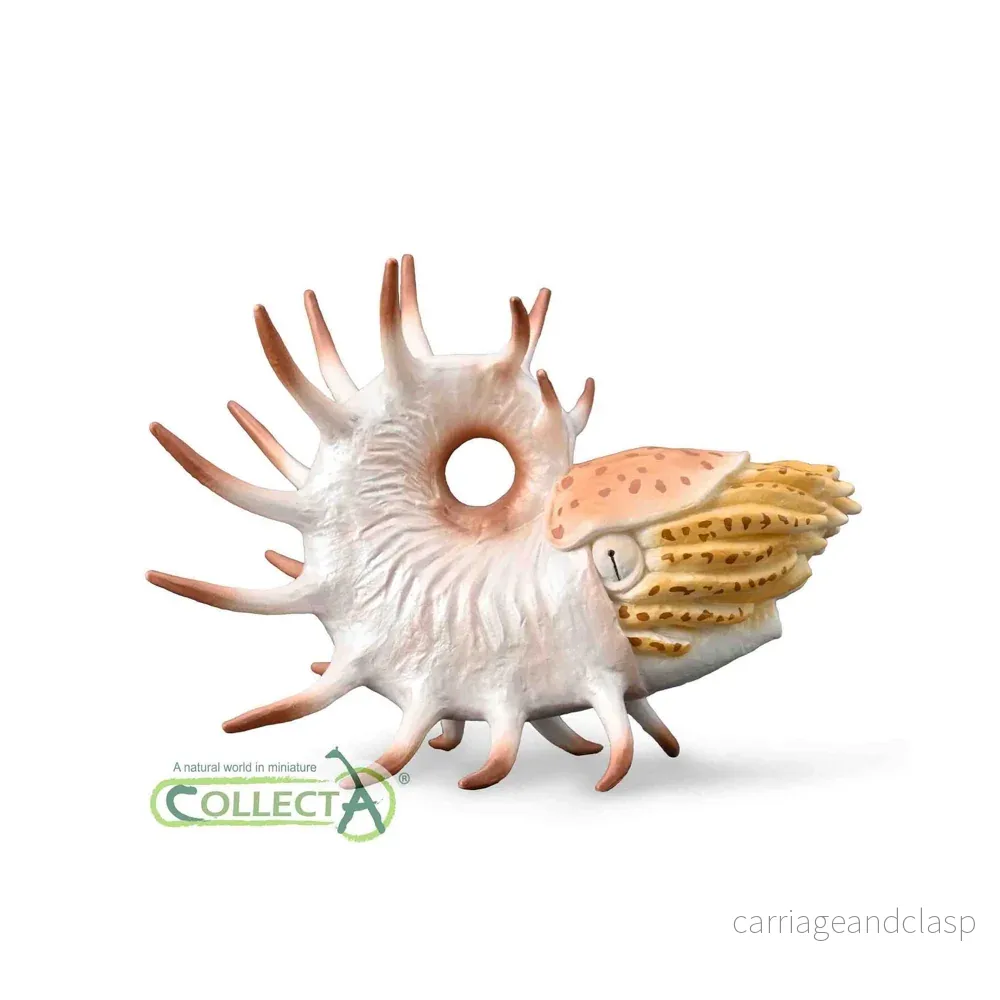 CollectA – Cooperoceras CollectA – Cooperoceras