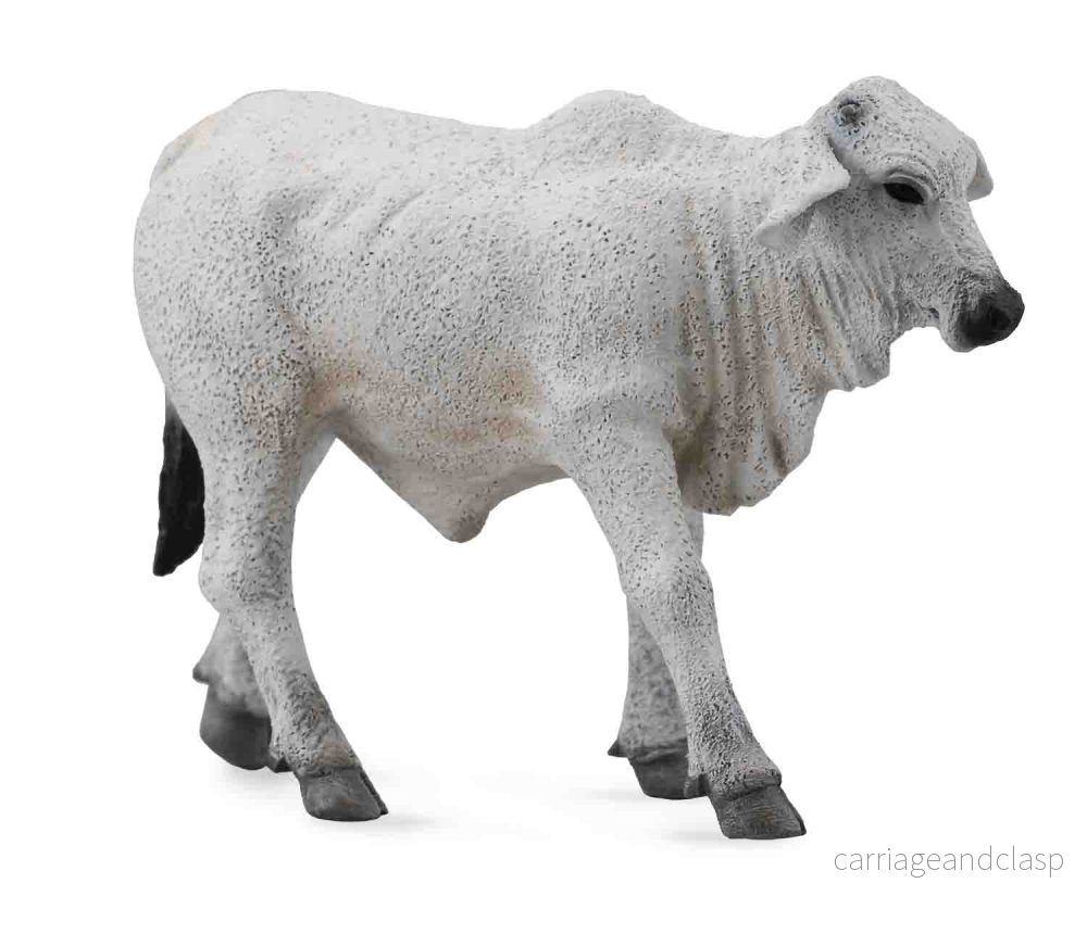 CollectA – Brahman kalv vit CollectA – Brahman kalv vit