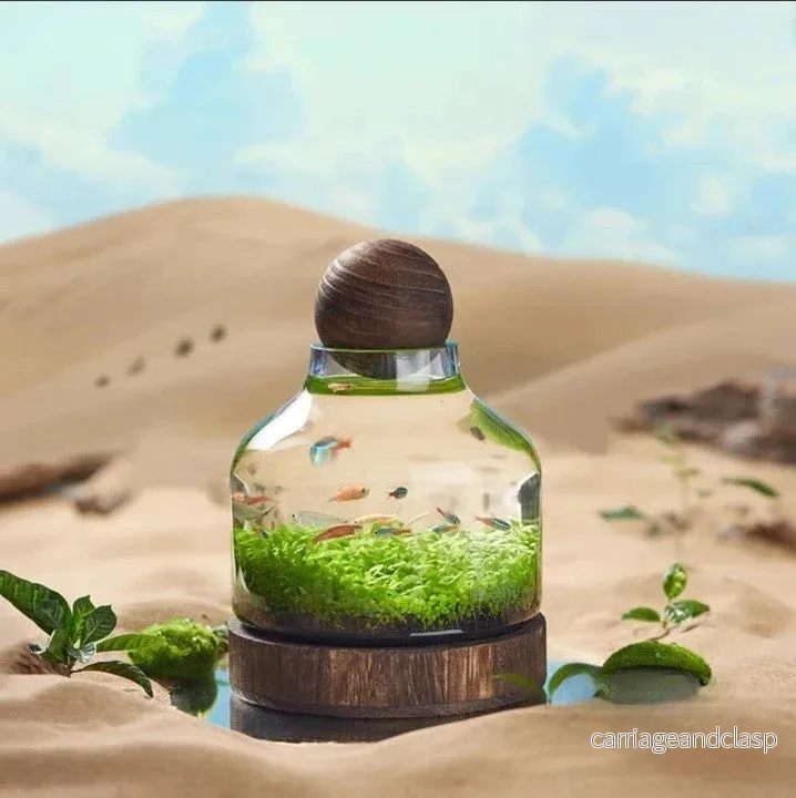 Mikro Akvarium Kompakt Glas Ekologisk Fisk Tank | Veska Mikro Akvarium Kompakt Glas Ekologisk Fisk Tank | Veska