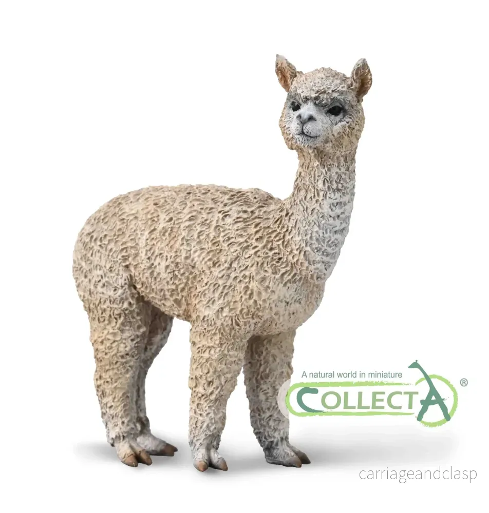 CollectA – Alpacka CollectA – Alpacka