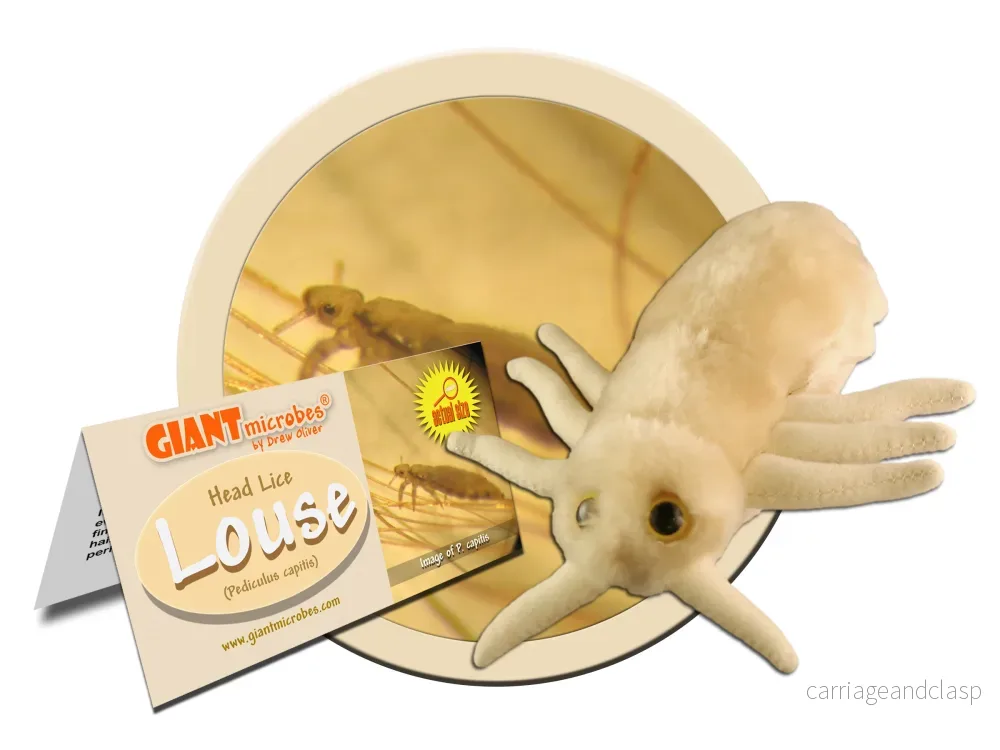 GIANTmicrobes - Louse (Pediculus Capitis) - Huvudlus