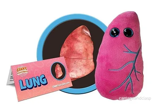 GIANTmicrobes – Lunga GIANTmicrobes – Lunga