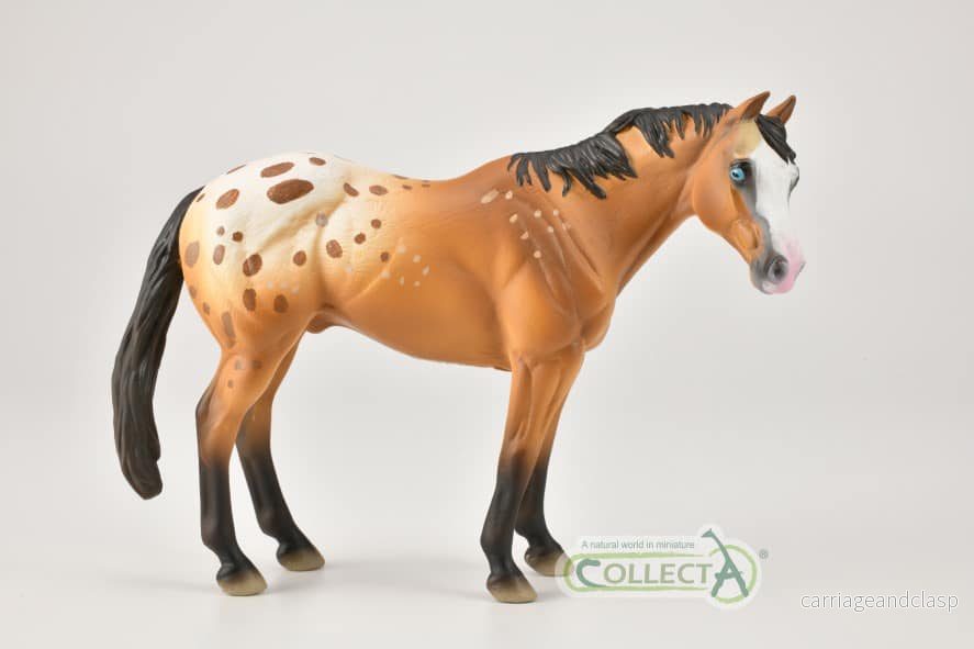 CollectA - Appaloosa hingst ljusbrun - Bild 3