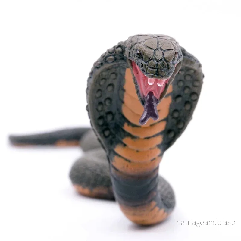 CollectA - Kungskobra - Bild 2
