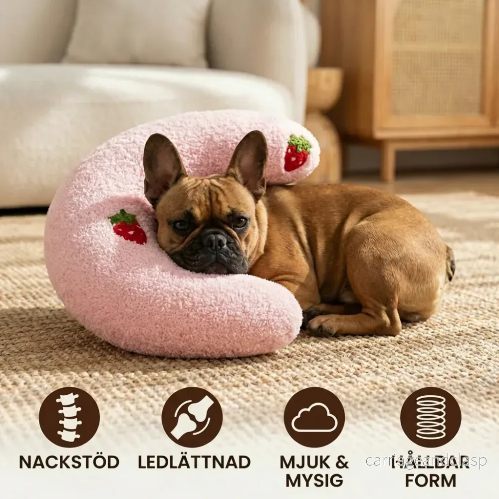 Robust Hundboll med Handtag - Bild 3