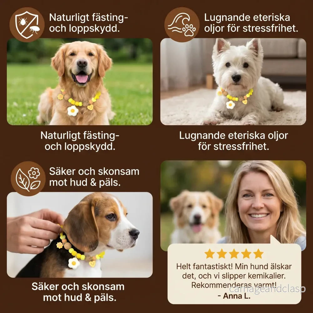 Söt halsband med insektsavvisande medel för hundar - Bild 3