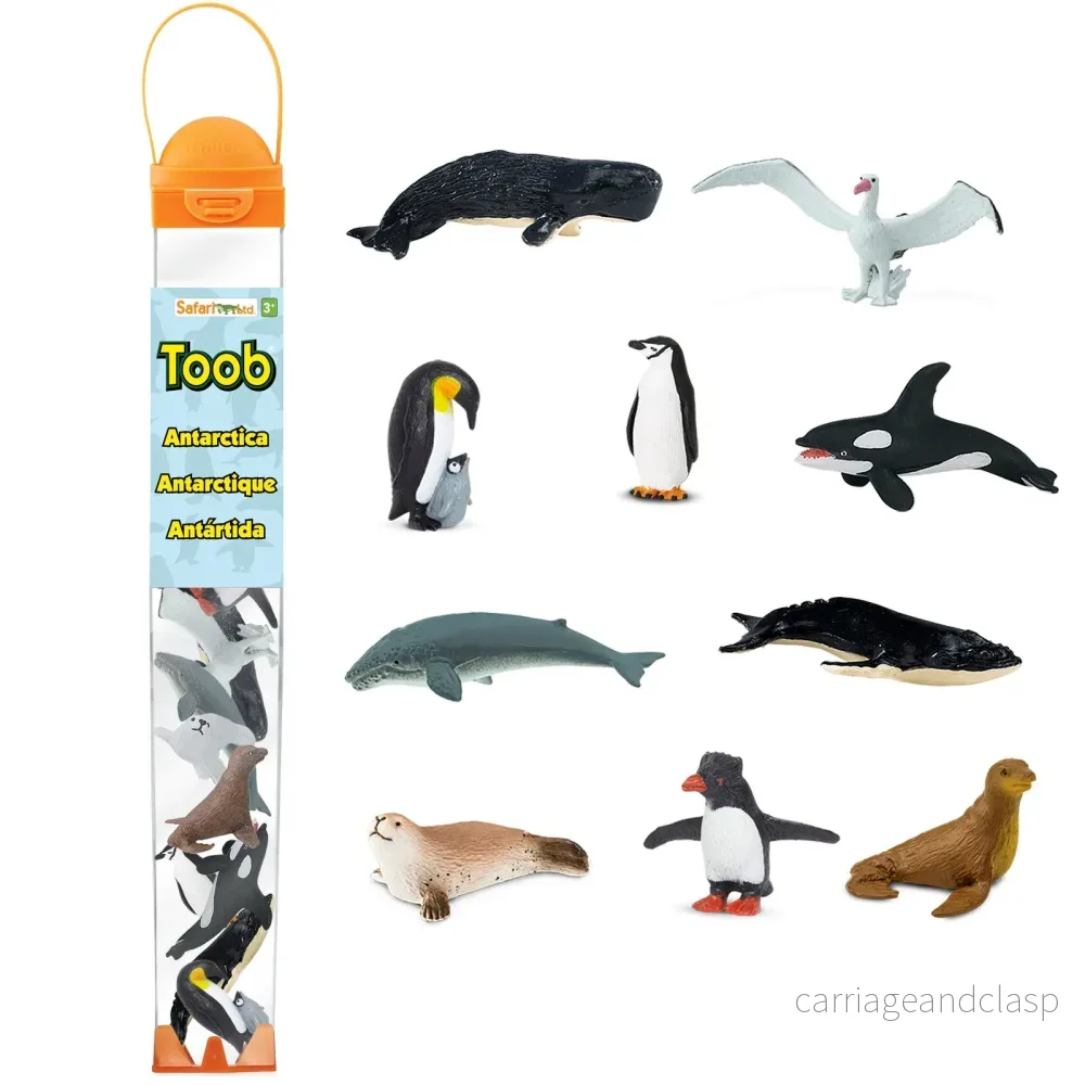 Safari Ltd - Antarktis TOOB®