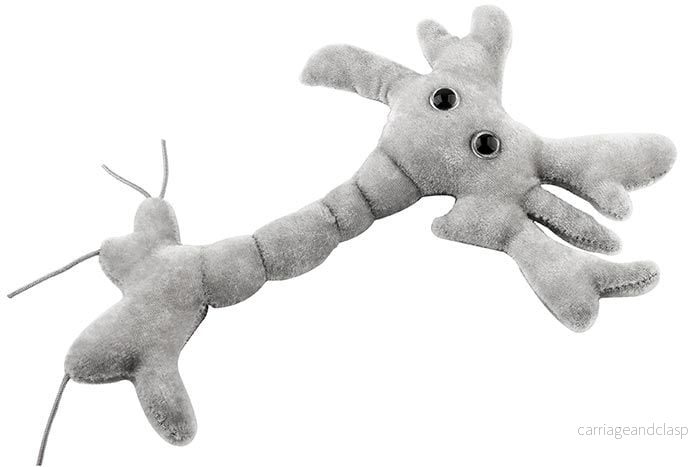 GIANTmicrobes - Hjärncell (Neuron) Plysch - Bild 2