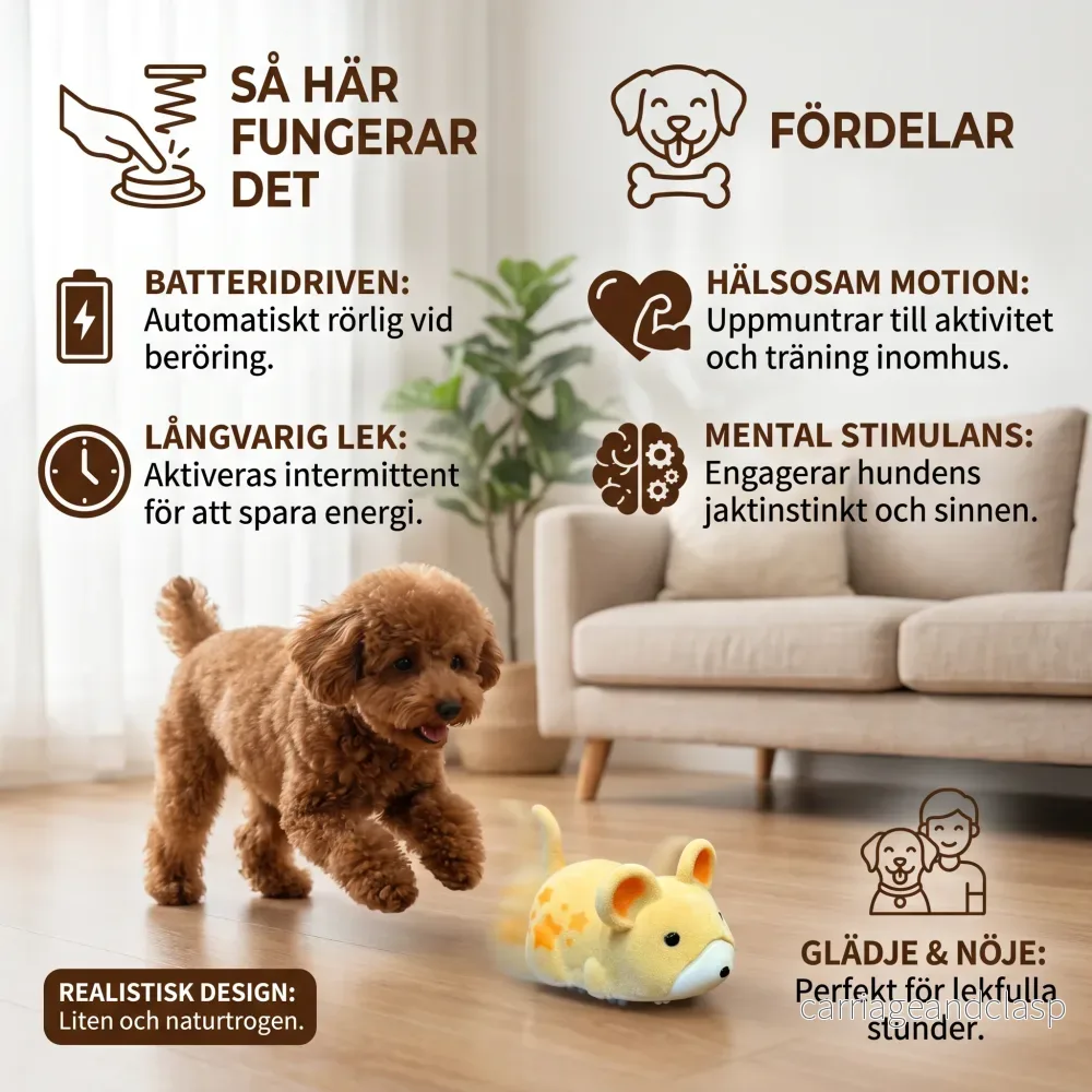 Aktiv hamsterleksak för hundar inomhus - Bild 2