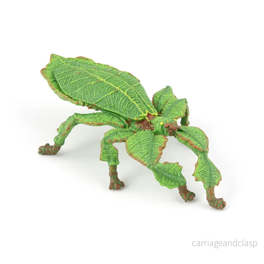 Papo – Vandrande Blad (Phylliinae) Papo – Vandrande Blad (Phylliinae)