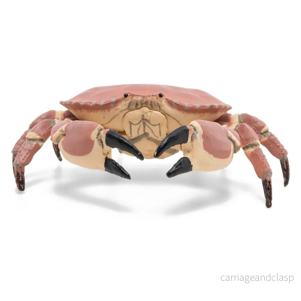 Papo - Krabba (Brunkrabba) - Bild 3