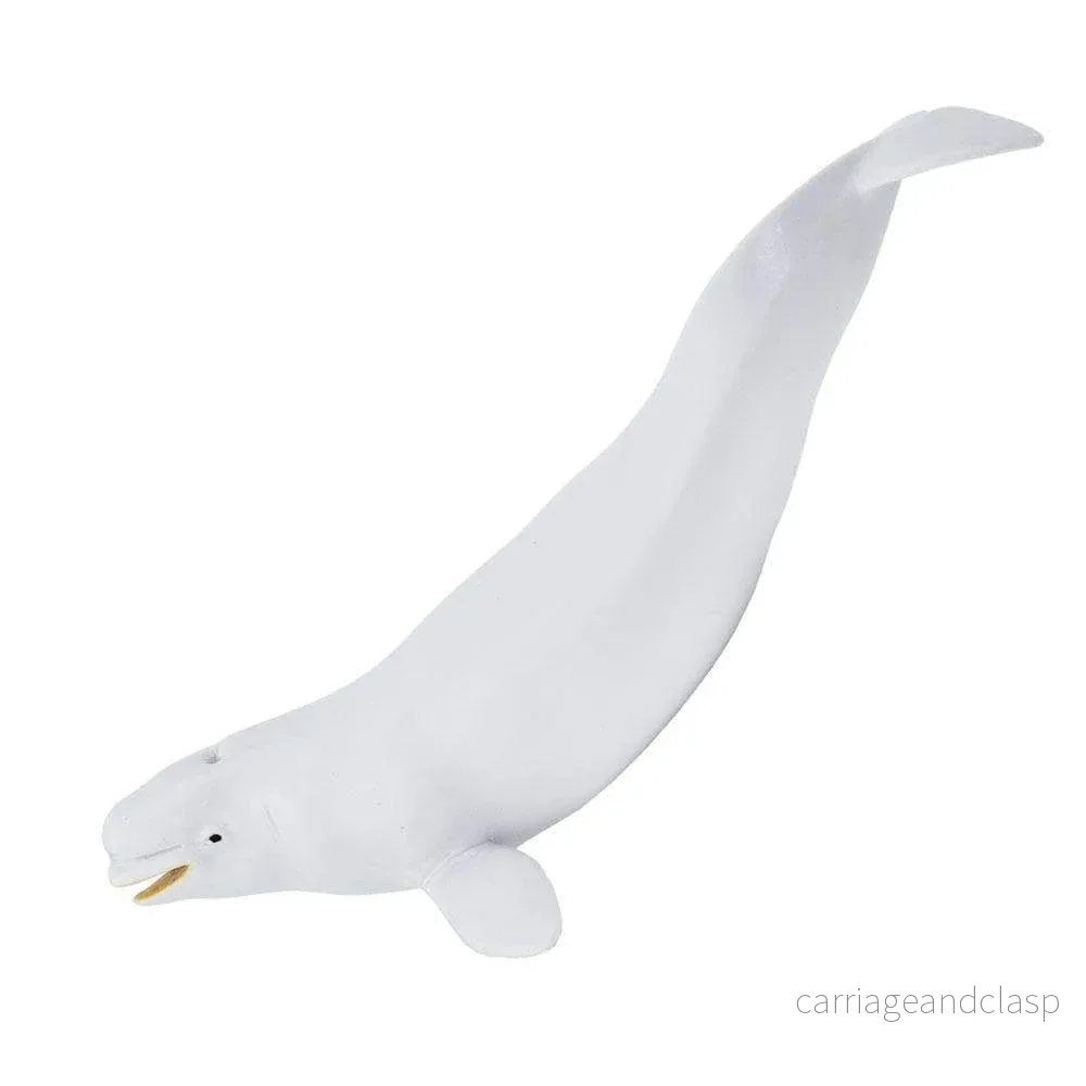 Safari Ltd - Vitval (Beluga) - Bild 2