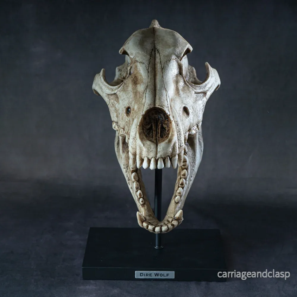 Skull Collectibles - Jättevarg Skalle (Dire Wolf) - Bild 3
