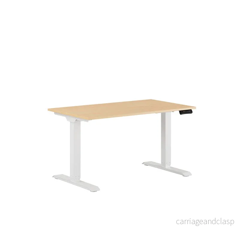 Premium Elektriskt höj- och sänkbart skrivbord 120x70cm - Bild 3