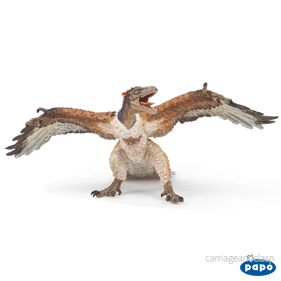 Archaeopteryx Archaeopteryx