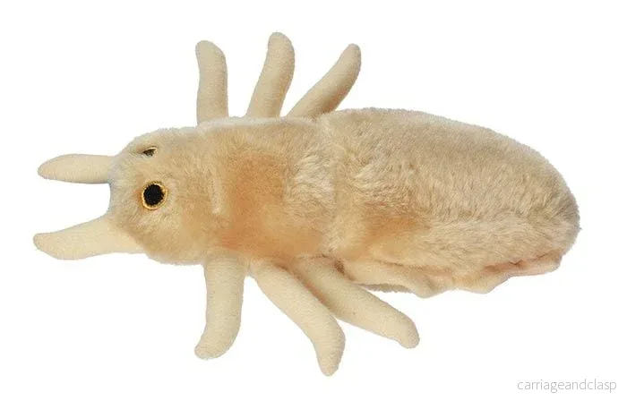 GIANTmicrobes - Louse (Pediculus Capitis) - Huvudlus - Bild 2