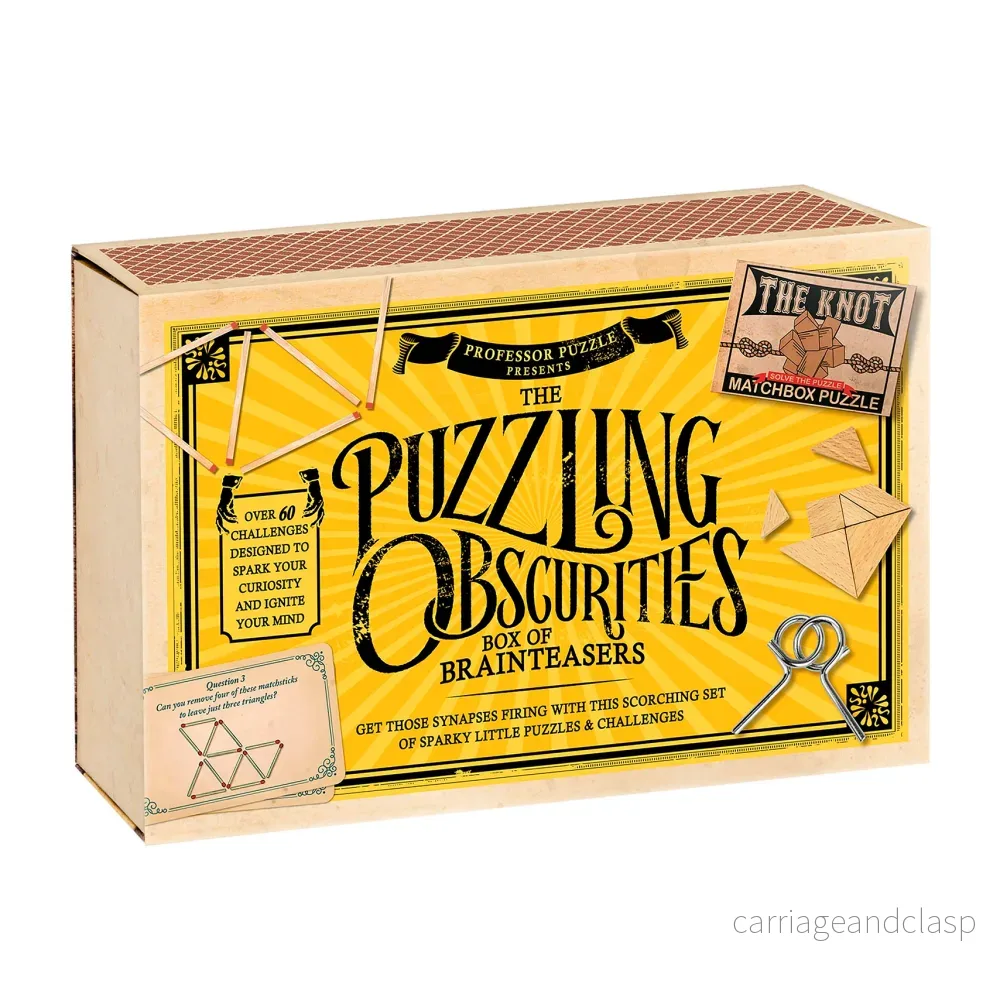Professor Puzzle - Puzzling Obscurities (Förbryllande oklarheter) - Bild 3