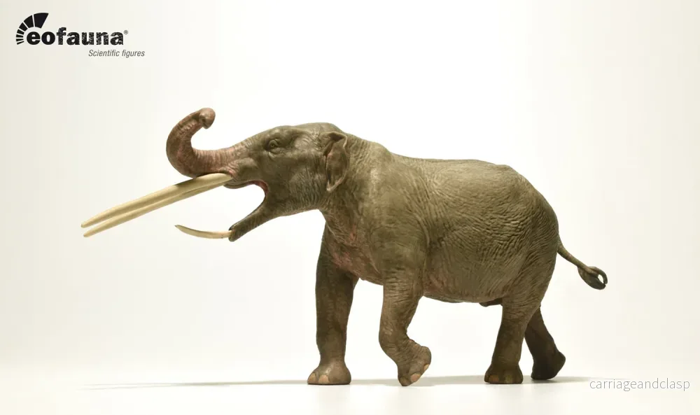 Eofauna - Konobelodon Atticus - Bild 2