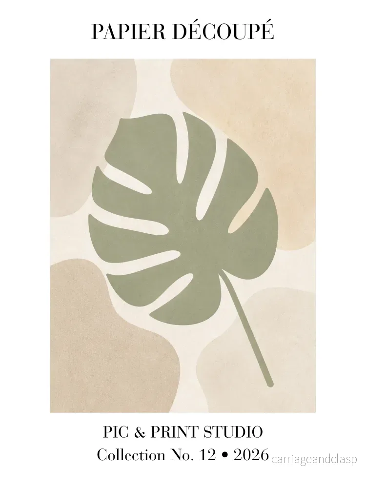 Sage Monstera Sage Monstera