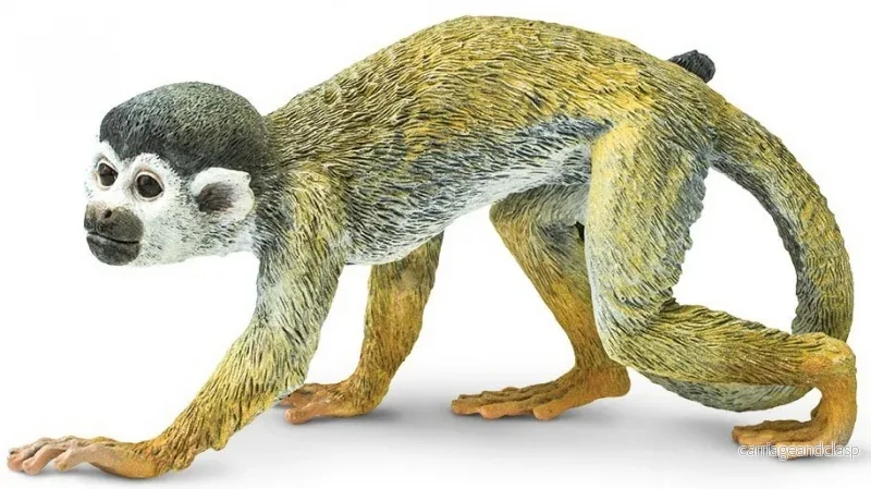 Safari Ltd - Ekorrapa, Dödskalleapa (stor modell) - Bild 3