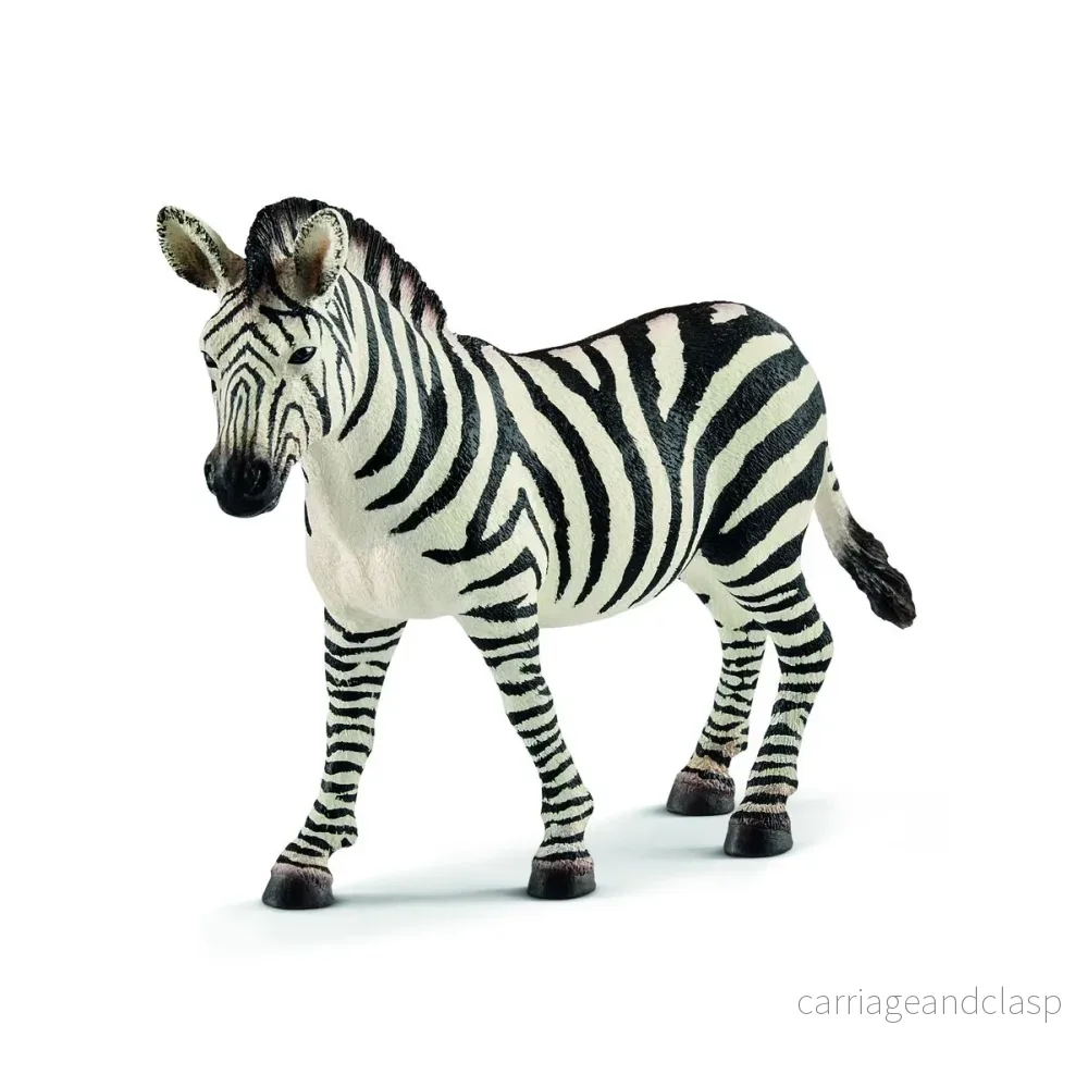Zebrasto Zebrasto