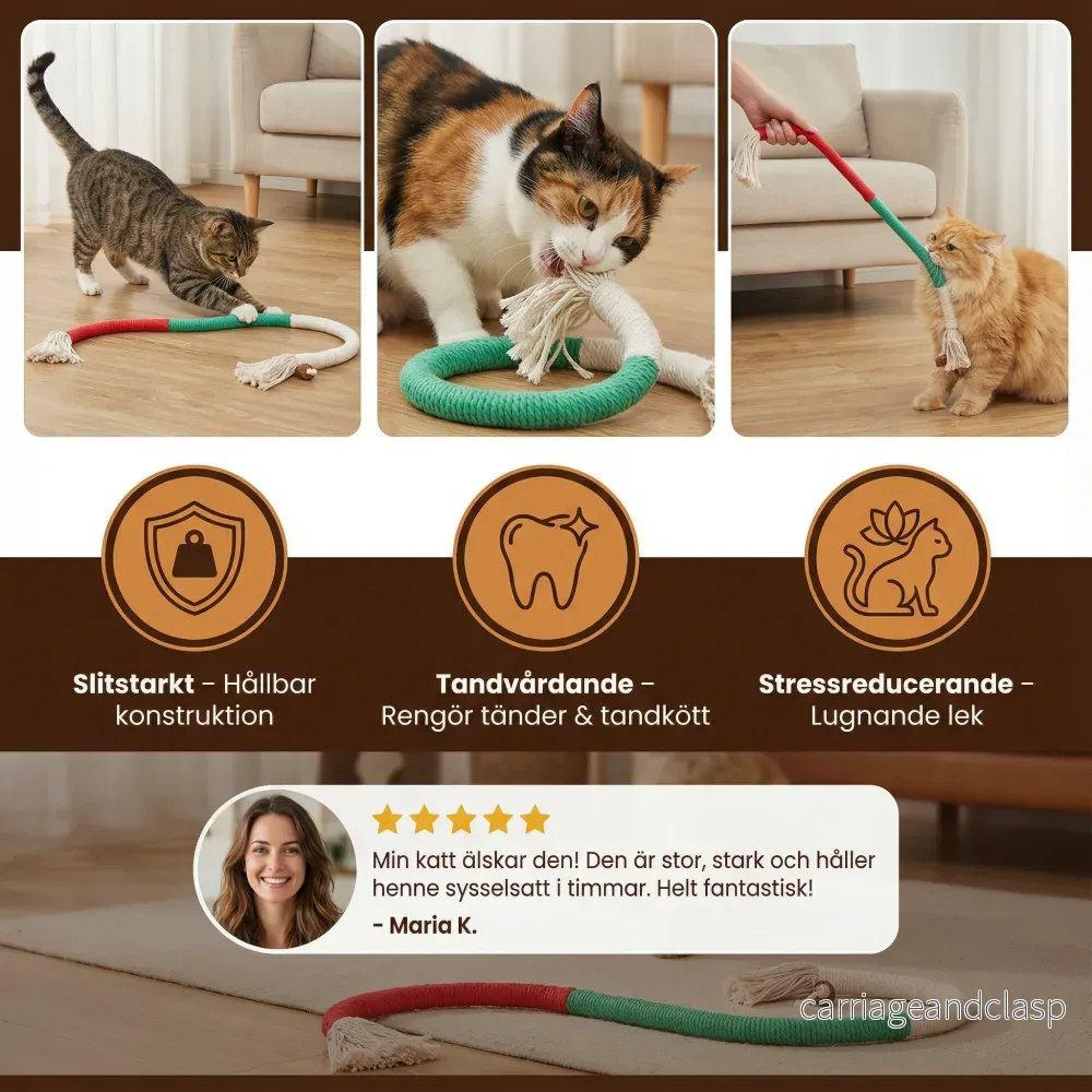 Naturligt katt-tuggrepp – Slitstarkt, tandvårdande & stressreducerande - Bild 3