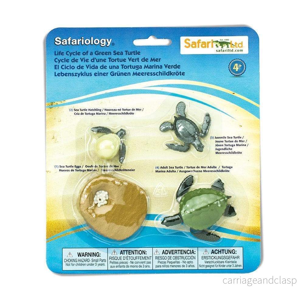 Safari Ltd - Livscykel av Grön havssköldpadda - Safariology®
