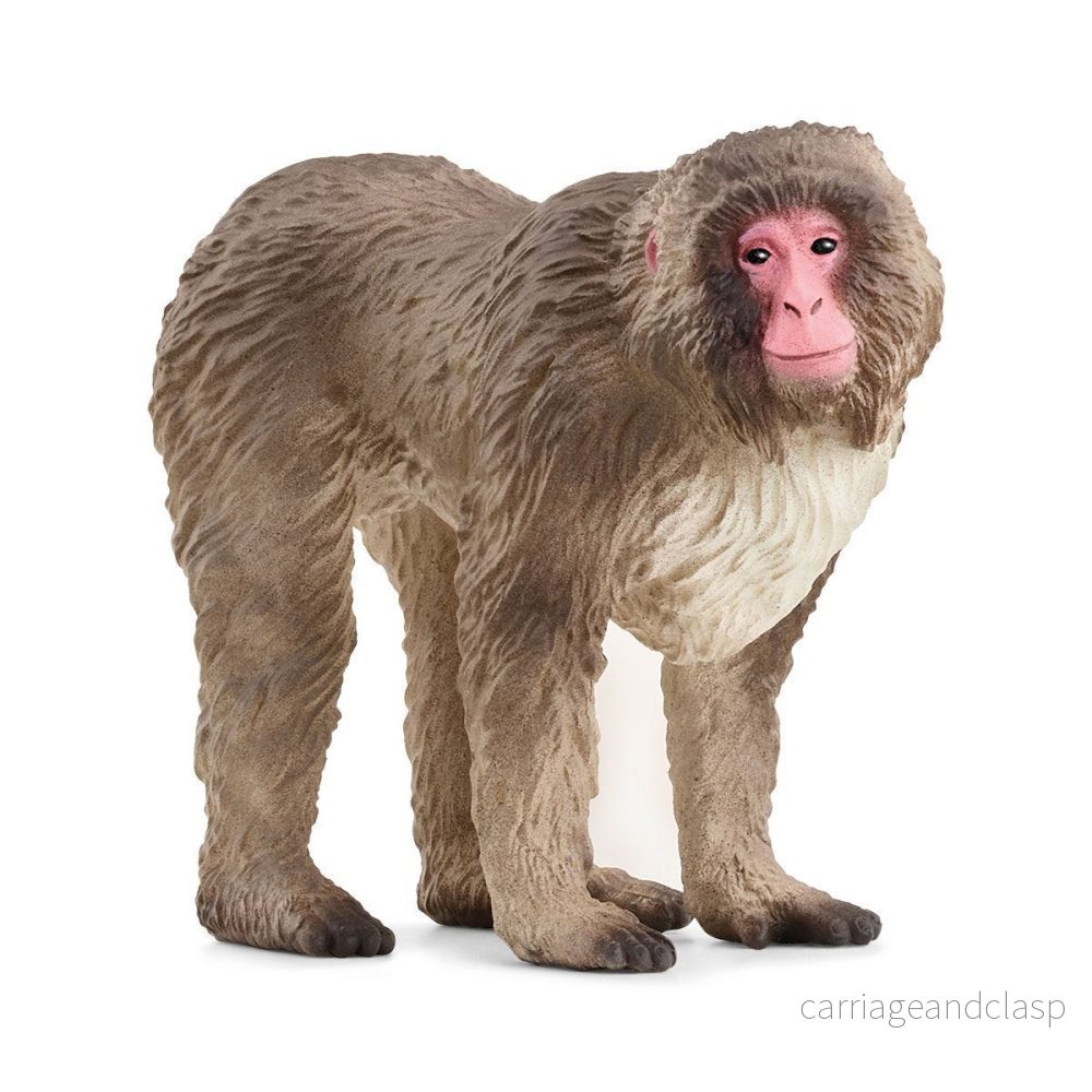 Schleich - Japansk makak
