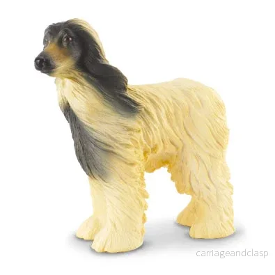Afghanhund