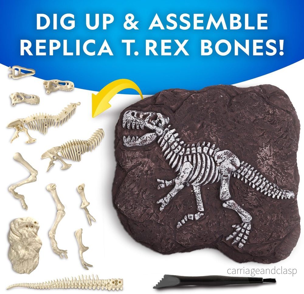 National Geographic - Tyrannosaurus Rex Dig Kit - Bild 2