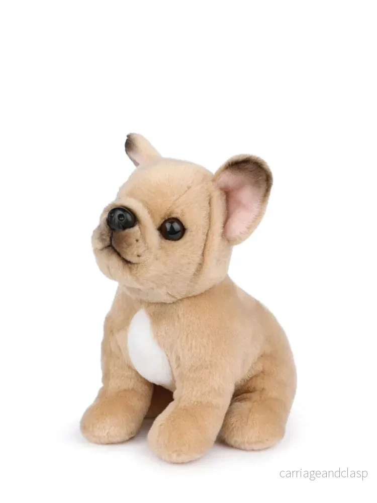 B.T. Chaps - Philippe the French Bulldog - Bild 2